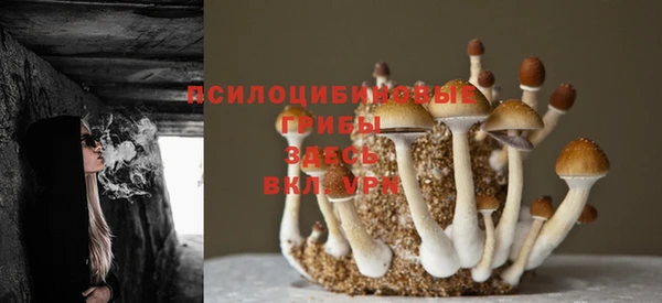 мяу мяу кристалл Ладушкин