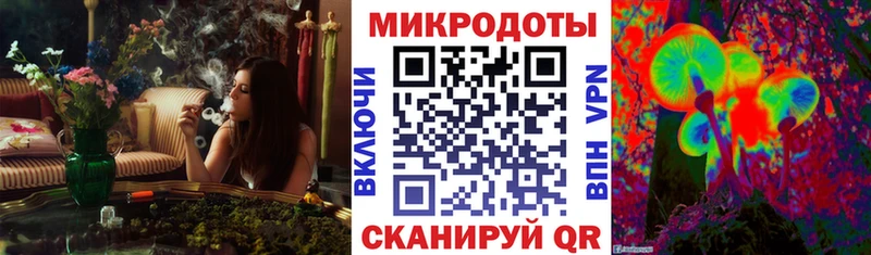 Галлюциногенные грибы мицелий  Ахтырский 